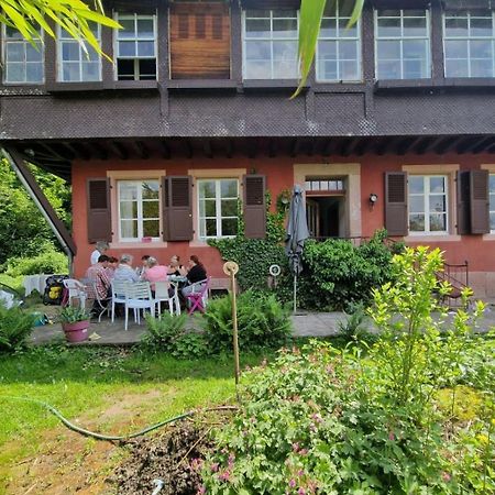 Gite "Cadichon" マンステール エクステリア 写真