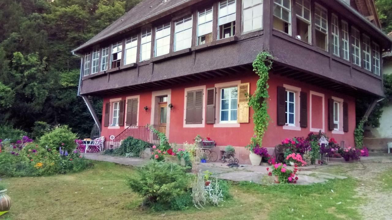 Gite "Cadichon" マンステール エクステリア 写真