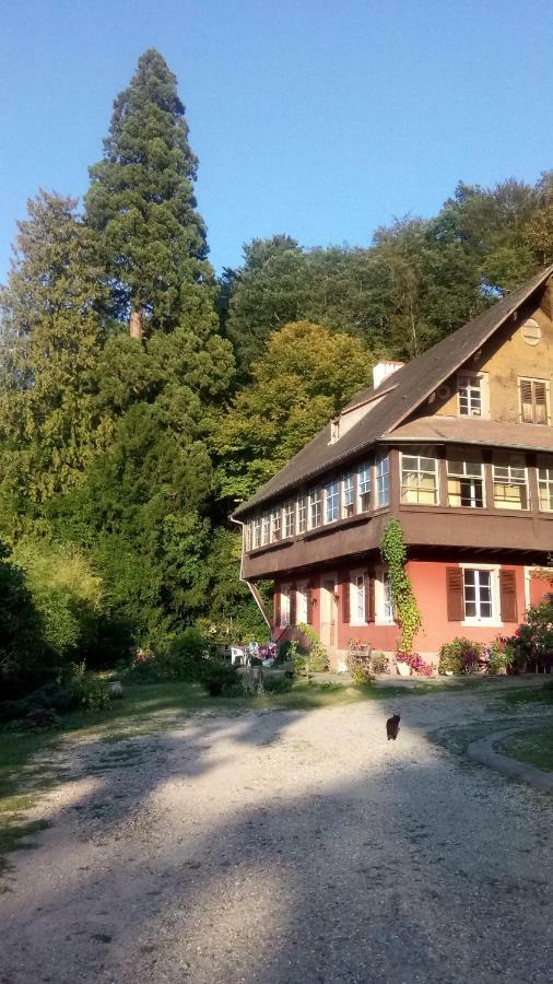 Gite "Cadichon" マンステール エクステリア 写真